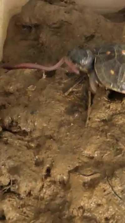 Lil’Homie gets taken down...