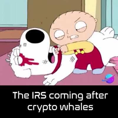 Be safe whales !