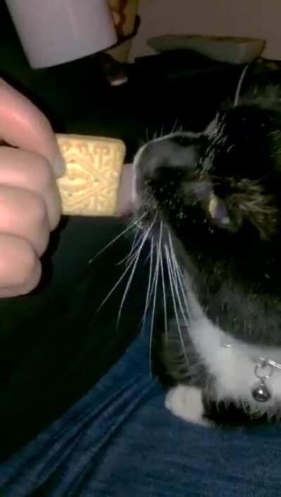 Louis loved custard creams more than anything.