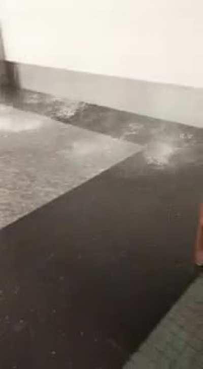 Mas videos de ezeiza, no se salvan ni las cucas