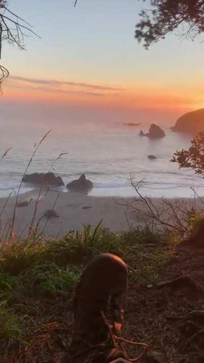 Hanging out next to my campground