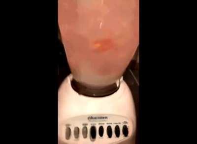 cursed_will_it_blend