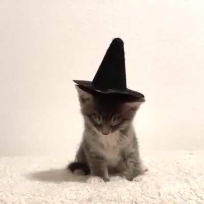 Мистер Залипушка