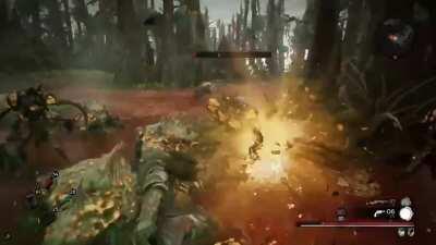 When you underestimate the range of the Aggressor's Bane... O.o