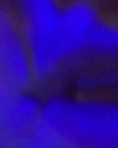 When the drugs kicked in for Milana Vayntrub