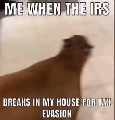 They are finally here...