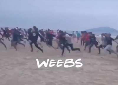 Hoomans funny creatures