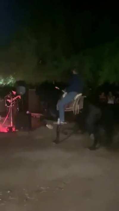 HMFT after The Horse Doesn't Like My Song