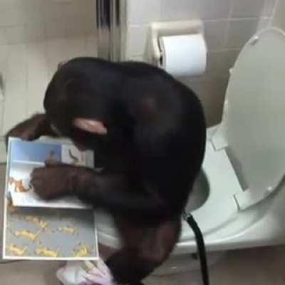 They took this from you.