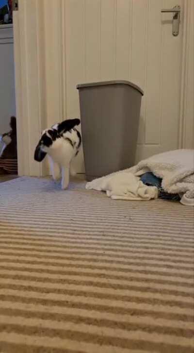 Kinda obsessed with the fluffy wobble during binkies.