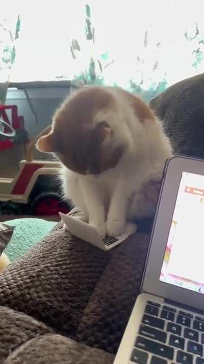 Have a look at this businessman!