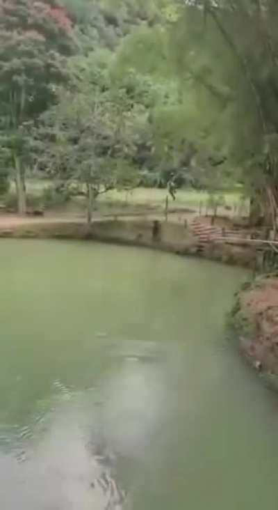 Dude ! Careful on that ledge.....oh