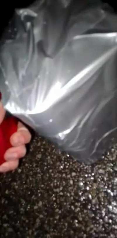 A video of me and my friends doing dumb stuff we shouldnt