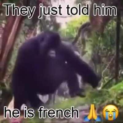 Any one of us would do this if we were... ugh.. French.