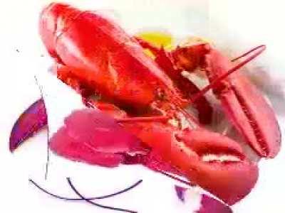 naive melody lobster is my new favorite video