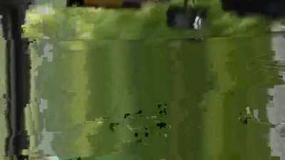 Dude stop the vehicle!