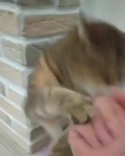 Don’t mess with Cat Lee!! 😍😂