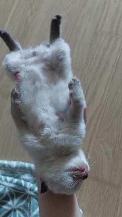 Another sleepy baby for you 🥰