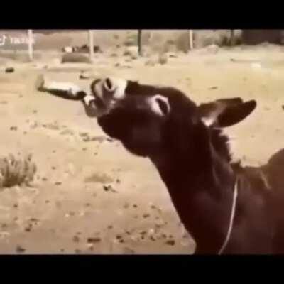 Gece gece acayip bir yerdeyiz yani...