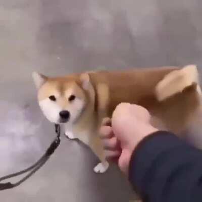 mi aportacion al reddit, quiero salir en un video del viejas.