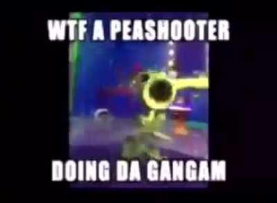 me when peashooter