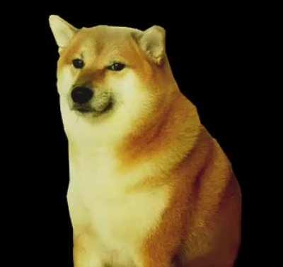 コックとボール拷問