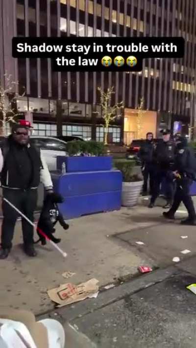 Shadow's a loose cannon