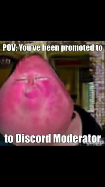 Funny meme. Laugh now.