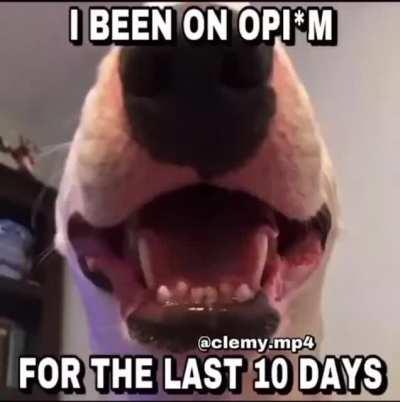 I been on opium for the last 10 days