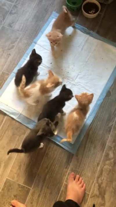 I was 10 minutes late for their lunch.