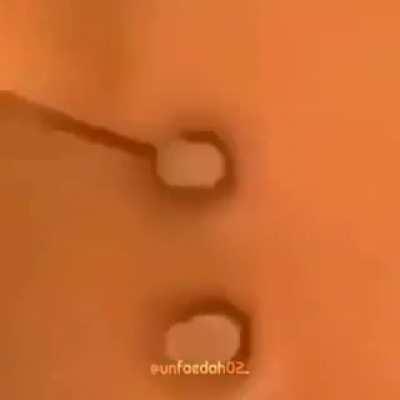 Un muy buen opening🧐