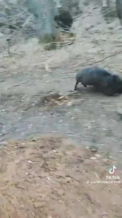 They doing their part