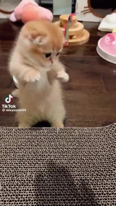 I just wanna hold it.