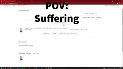 maybe all the fumo we wanted were the friends we made along the way