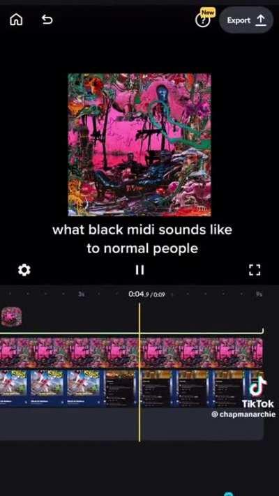 @chapmanarchie on TT