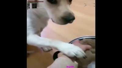 Whaaat we gotta cookin?.......