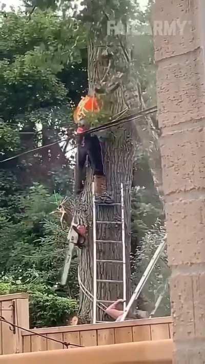 Thank God the chainsaw wasn't on