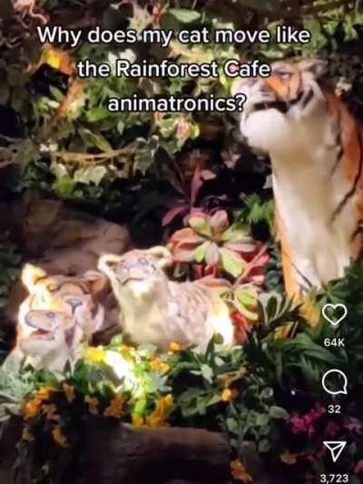 Is the government now replacing cats with drones to spy on lonely people who don’t go outside much??