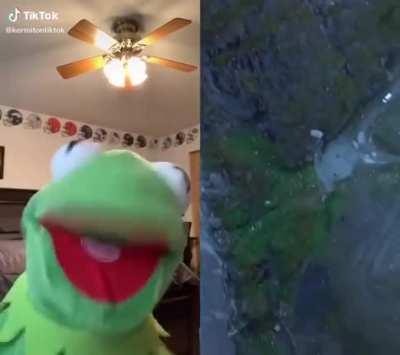F for Kermit