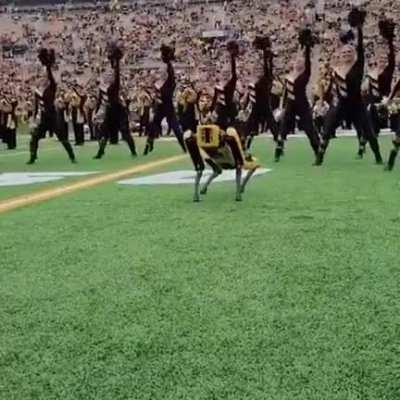 Apparently there’s some kind of release today?