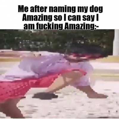 I am fucking amazing.