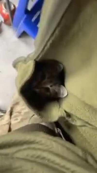 Ukrainian soldier reveals precious cargo