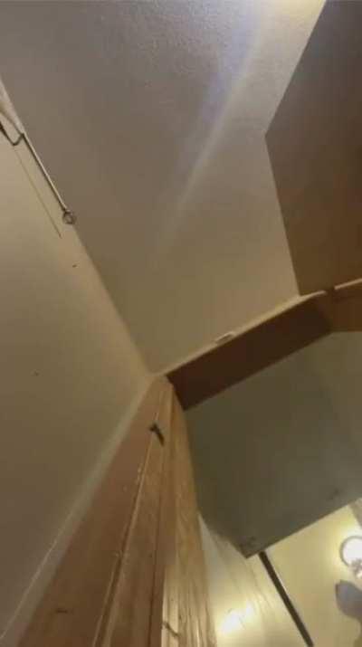 HMC I dropped my phone