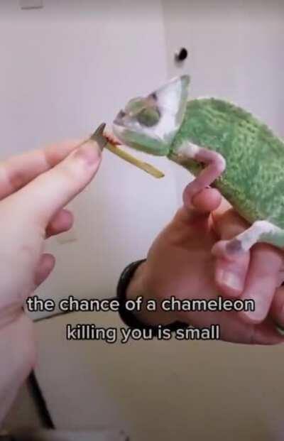 Wait holdup what did you just say