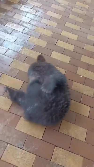 Little dude is having a blast