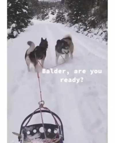 Ну не все готовы....