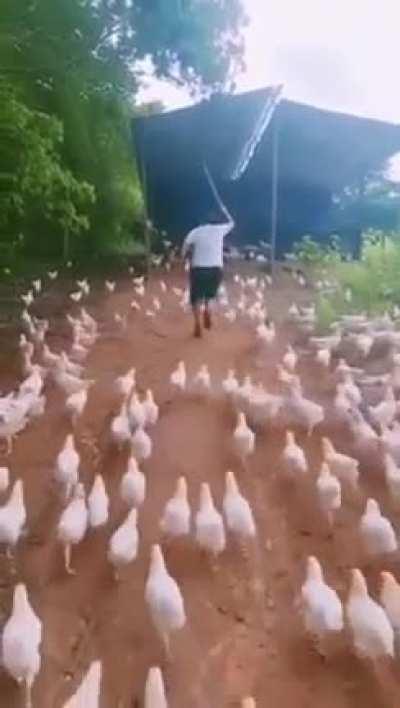 Me fighting a giga with my dodo army