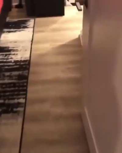 Would this put you off ?🤣