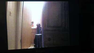 Years ago, my sister had a Dora doll she really loved that could move it’s head electronically. However we never put batteries in it because at the time we couldn’t afford a lot of stuff. My mom caught my sister singing and playing with the doll, not noti