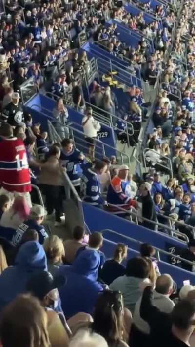 Fight in the crowd from yesterdays game